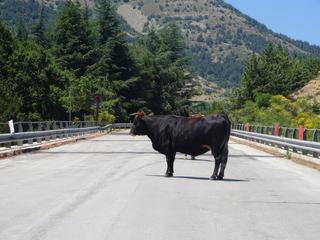 Parc naturel des Madonie.