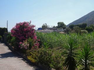 Vulcano.