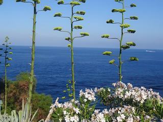 Lipari.