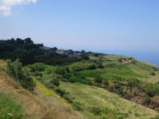 Quattropani.