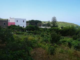 Quattropani.