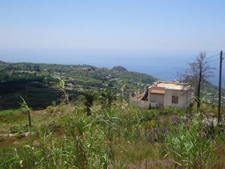 Quattropani.