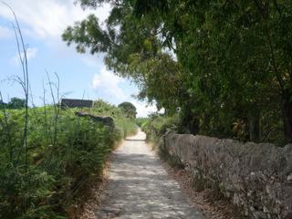 Quattropani.