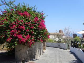 Malfa.