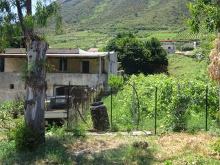 Environs de Leni.