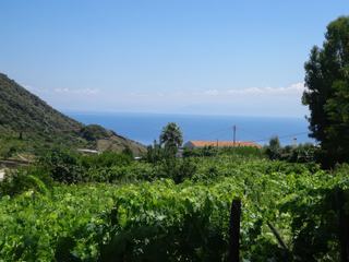 Environs de Leni.
