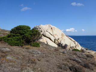 Capo Testa.
