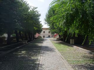 Ardara.