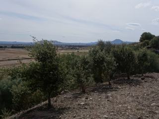 Environs d'Ozieri.