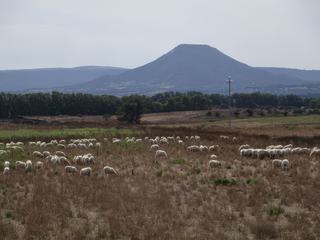 Environs d'Ozieri.