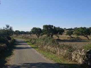 Région de la Barbagia.