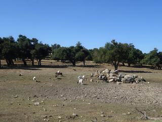 Région de la Barbagia.