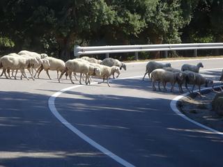 Région de la Barbagia.