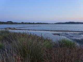 Carloforte: salines.