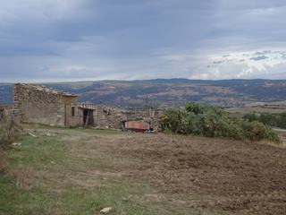 Genoni.