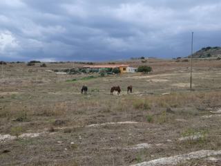 Genoni (avec l'agriturismo Cuaddus e Tellas).