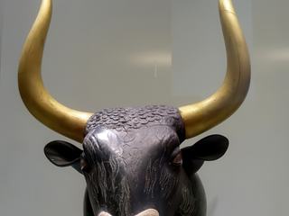 Cette admirable tête de taureau en serpentine qui vient de Knossos, date de 1600-1500av J.-C, soit le milieu de la période néopalatiale. C’est un vase à libations (rhyton) dont les cornes sont plaquées d’une feuille d’or, les yeux sont en cristal de roche au centre d’un coquillage et le mufle est figuré par une incrustation de jaspe.