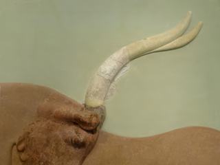 Fragment de la fresque, dite du "Fresque du Taureau". Une partie d’une figure humaine, chasseur ou taureau, faisait également partie de la composition. La partie principale de la fresque avec la tête de taureau est un chef-d’œuvre du minéral naturel, une œuvre de grande qualité artistique et dotée d’un grand pouvoir expressif. L'artiste a capturé l'intensité du moment, l'angoisse du taureau au galop, soufflant et luttant avec une bouche entrouverte et des yeux dilatés pour échapper à ses poursuivants ou même pour contre-attaquer. Knossos, bastion ouest du passage d'entrée nord, période néopalatiale (1600-1450 av. J.-C.).