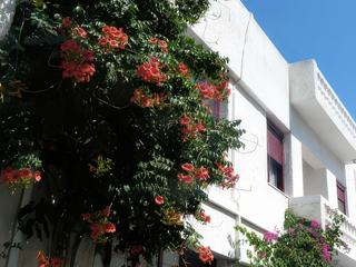 Le village est bien entretenu, maisons peintes et fleurs partout.