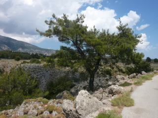 Plus on avance et plus le paysage devient aride, l'endroit est très beau.