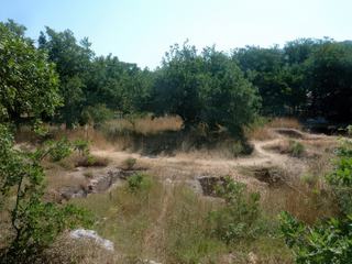 Vue d'ensemble sur quelques tombes.