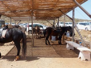 Nous arrivons au parking. Pour celles et ceux qui ne peuvent pas ou ne veulent pas faire le chemin à pied, on peut prendre un cheval et un guide pour descendre jusqu'au lagon. Pour nous ce sera à pied.