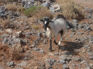 Jolie rencontre.