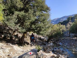 Le long de la petite rivière, le sentier est assez ombragé.