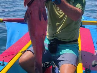 Mérou pris dans les tombants du Canal du Mozambique