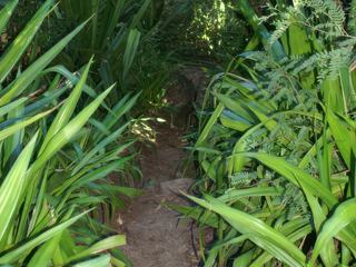 Chemin de randonnée
