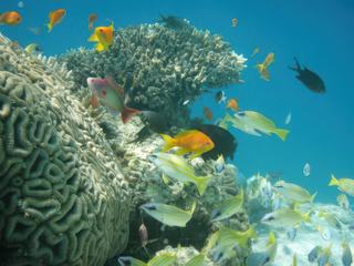 Fonds marins