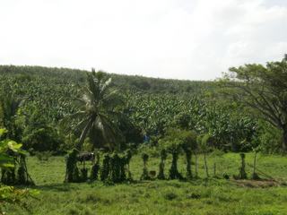 Côte Est