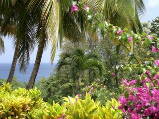 St Marie – Martinique