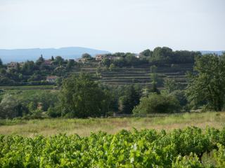 Campagne (Carsan)