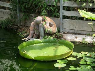 Ferme aux crocodiles