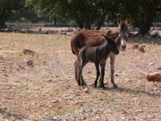 Charmante rencontre