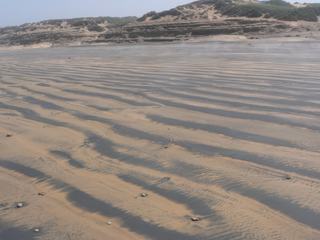 Quelques kilomètres avant la fin de la randonnée, le sable bicolore de la plage fume.