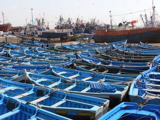 Les barques bleues des pêcheurs artisanaux d'Essaouira.