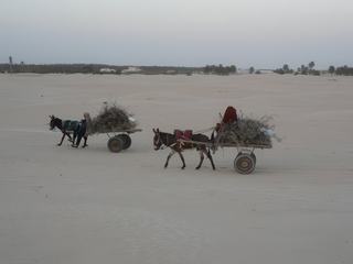 Douz, petite ville au bord du désert