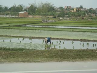 Photo de voyage au Viet Nam