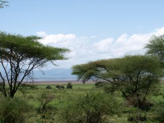 Vue du lac dans le parc de Manyara