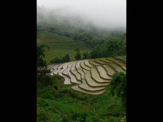 Trek dans les environs de Chiang Rai
