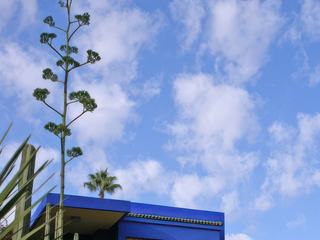 Jardin Majorelle