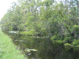 Key West - Naples – États-Unis