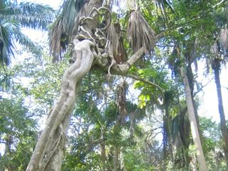 Naples - Sarasota – États-Unis