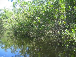 Naples - Sarasota – États-Unis
