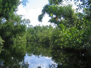 Naples - Sarasota – États-Unis