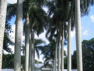 Naples - Sarasota – États-Unis