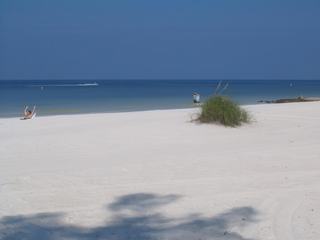 Sarasota - Orlando – États-Unis