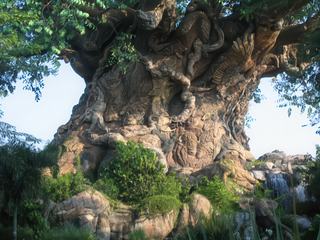 Arbre de la vie.
